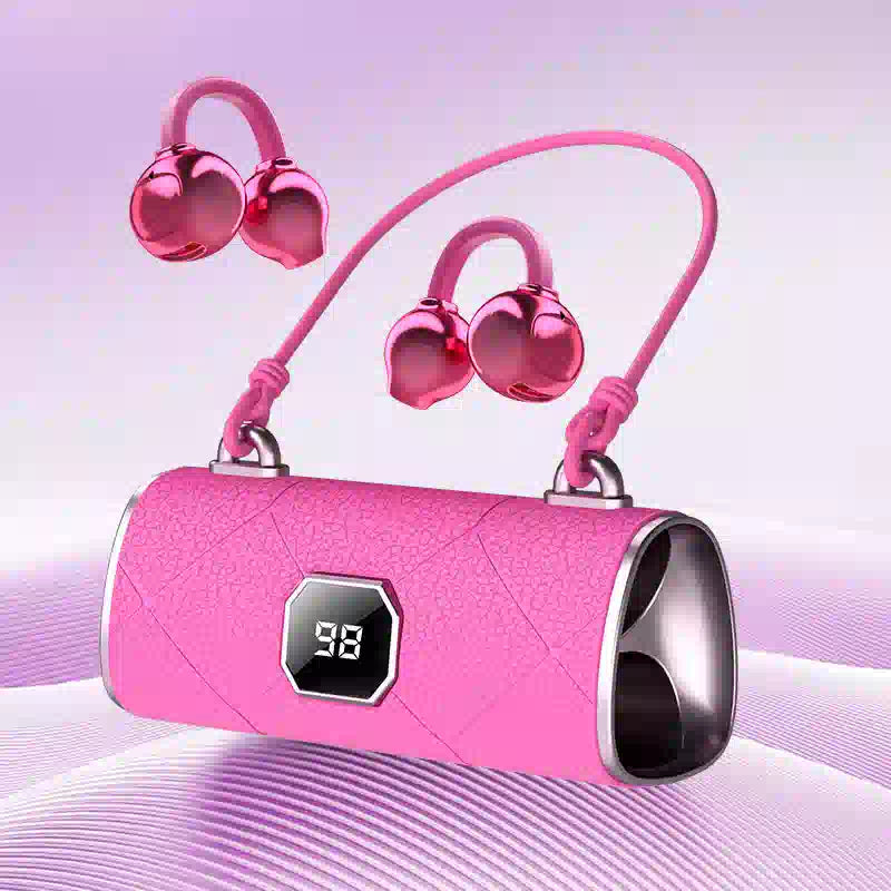 Handbag-Style Wireless Bluetooth Earbuds